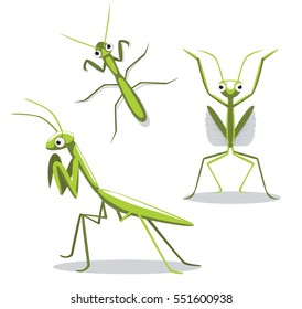 Cute Mantis Poses Cartoon Vector Illustration