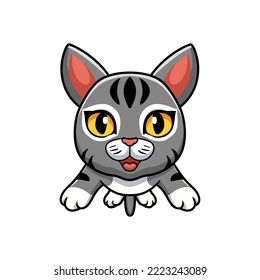 Cute Manx Cat Cartoon Flying