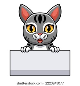 Cute Manx Cat Cartoon Holding Blank Sign