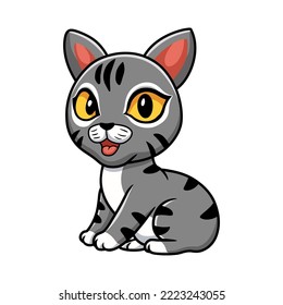 Cute manx cat cartoon sitting