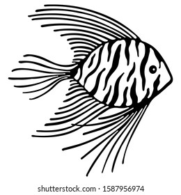 Cute marine fish stripes isolated on white background. Monochrome lineart cartoon vector illustration. Hand drawn fish isolated sea life elements. Clipart. Design used for shop aquariums, oceanariums.