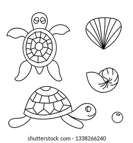 Cute marine set in vector.  turtle and shells in cartoon card