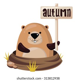 Cute marmot. Autumn.
Vector illustration.