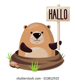 Cute marmot.
Vector illustration.