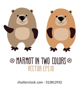 Cute marmot.
Vector illustration.