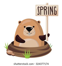 Cute marmot.
Vector illustration.