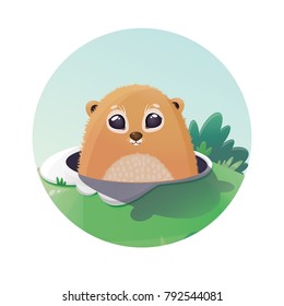 Cute marmot.
Vector illustration of Groundhog Day.