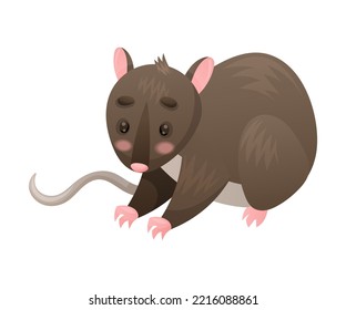 Cute Marsupial Rat as Australian Animal and Endemic Fauna Vector Illustration