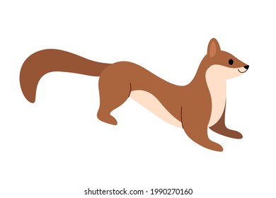 Cute marten - cartoon animal character. Vector illustration in flat style isolated on white background.