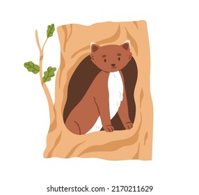 Cute marten inside hollow in tree. Forest animal looking, peeking out of hole house in woods. Lovely weasel in shelter home in trunk. Flat vector illustration isolated on white background