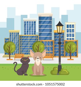 cute mascots pet shop icons