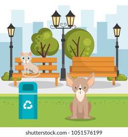 cute mascots pet shop icons