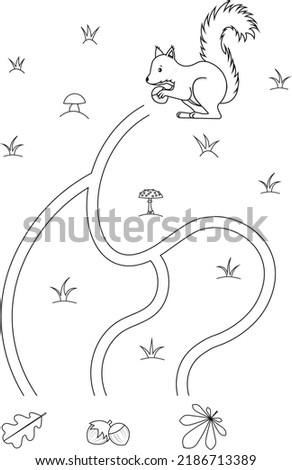 Cute maze for children. Help squirrel to find nut. Kids learning games. Black and white, line art. Activity page for the little ones.