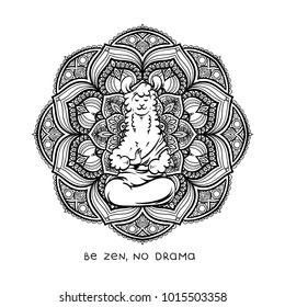 Cute meditating furry llama. Vector cartoon illustration on a white background with motivational lettering. Be zen and no drama.
