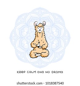 Cute meditating furry llama. Vector cartoon illustration on a white background with motivational lettering. Keep calm and no drama.