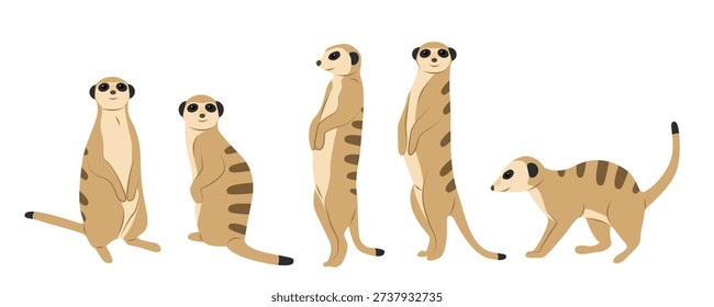 Cute meerkat cartoon characters set isolated on white background. Flat vector illustration of african suricates in different poses