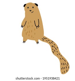 A cute meerkat hand-drawn in a doodle style. Vector illustration for children's books, postcards in a simple sweatshirt style by hand. Vector illustration in the Scandinavian style