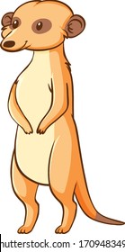 Cute meerkat standing on white background illustration