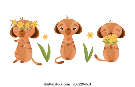 Cute Meerkat or Suricate with Brindled Coat Holding Bunch of Flowers and Wearing Floral Wreath Vector Set