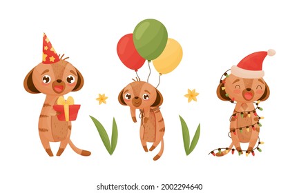 Cute Meerkat or Suricate with Brindled Coat Holding Gift Box and Tied with Balloon Bunch Vector Set