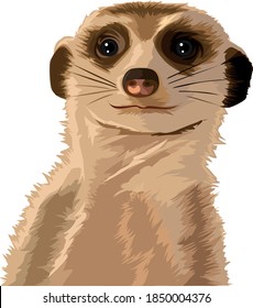 Featured image of post View 10 Meerkat Drawing Cute