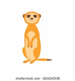 Cute meerkat  Vector illustration isolated white background 
