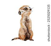 Cute meerkat watercolor isolated on white background. Nursery meerkat cartoon hand drawn character vector illustration