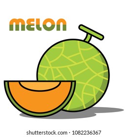 cute melon vector , ingredients for cooking. sweeten fruit. 