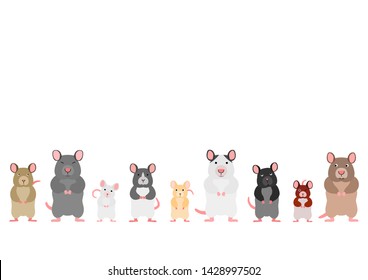 cute mice and rats in a row