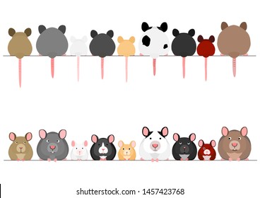 cute mice and rats in a row