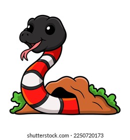 Cute milk snake cartoon out from hole