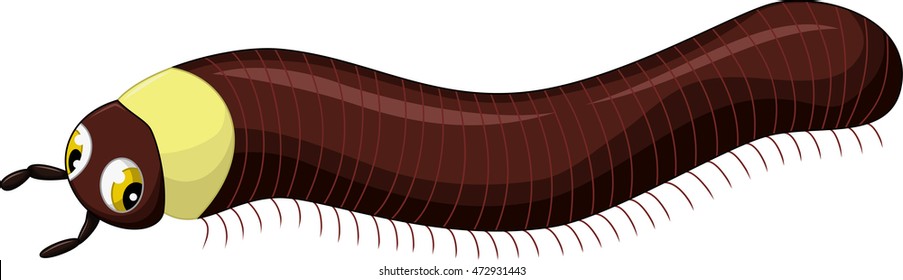 Cartoon Millipede Images, Stock Photos & Vectors | Shutterstock