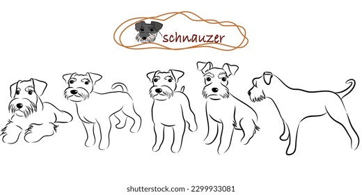 Cute Miniatur Schnauzer Hunde Doodles.Handgezeichnete Vektorgrafik auf weißem Hintergrund.