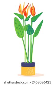 Lindo dibujo minimalista de la flor tropical brillante Strelitzia Reginae. Una planta africana que crece en la selva y decora las casas como elegante planta de interior. Imagen de Vector para su diseño, ilustración 