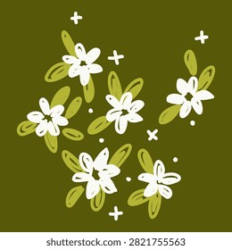 Cute minimalist hand drawn small white jasmine flower arrangement illustration cluster on olive green
