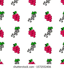 cute and minimalist two object blackcurrant and red grape background pattern