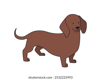 Cute minimalistic dog. Brown adorable dachshund. Cute domestic animal and pet. Puppy of luxury breed. Furry mammal. Poster or banner. Linear vector illustration isolated on white background