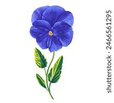 A cute minimalistic illustration with a blue Pansy flower. The delicate flower is hand drawn in a highly realistic style in vector format. A botanical clip art element ready to use in your design