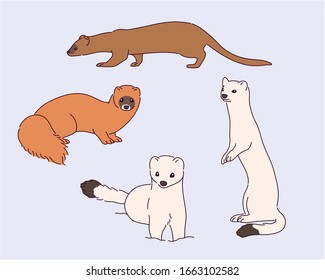 Cute mink, marten drawing collection. hand drawn style vector design illustrations. 