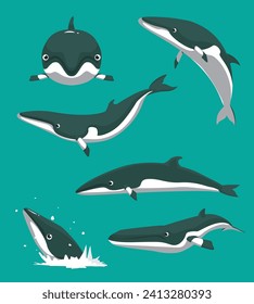 Cute Minke Whale Poses Set Cartoon Vector