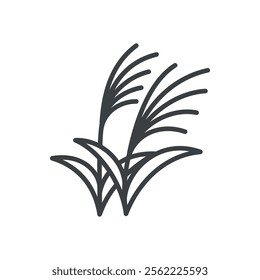 Cute miscanthus icon. Hand drawn monochrome illustration of a susuki grass isolated on a white background. Vector 10 EPS.