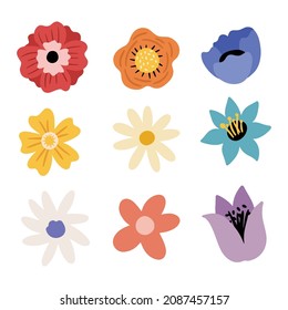 Cute modern flowers stock in vector