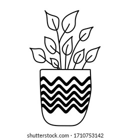 Cute and modern hand drawn plant in pot. - isolated vector