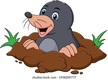 Cute Mole animal cartoon vector illustration