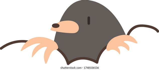 Cute mole Cartoon, Vector illustration mole on a white background. Drawing for children