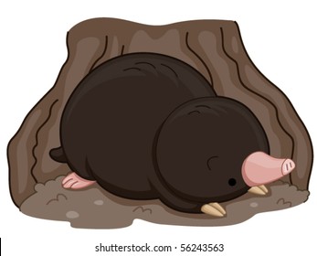 Cute Mole - Vector