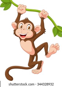 Cute monkey animal hanging on a vine