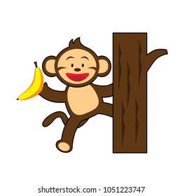 cute monkey with banana