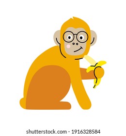 Cute monkey with banana and glasses isolated on white background in flat and doodle style. Cartoon vector illustration.