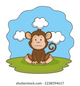 cute monkey in the camp